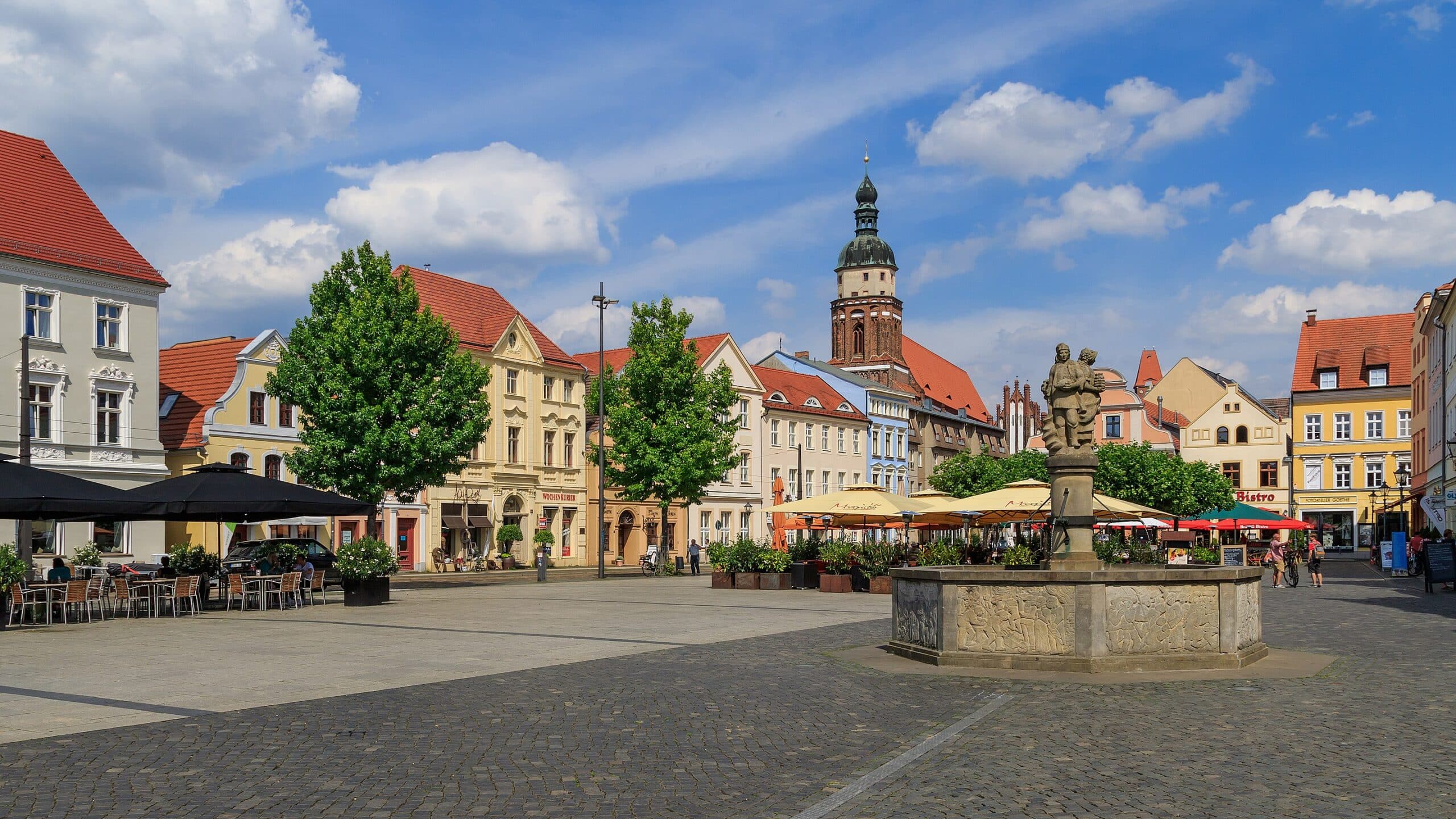 Werbeagentur Cottbus