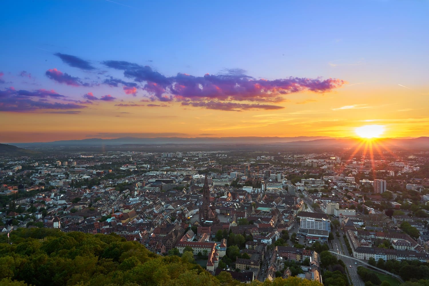 Werbeagentur Freiburg im Breisgau