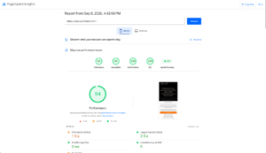 PageSpeed Insights 94 Punkte Mobile Geschwindigkeit - Technische SEO Masterpiece